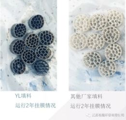裕隆環(huán)保 裕龍活性生物填料，十六載創(chuàng)新路，匠心鑄就水處理新引擎