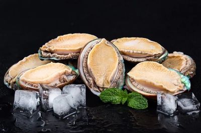 和治友德世界海洋日特輯 共同守衛(wèi)蔚藍，探索海洋生物活性物質(zhì)的綠色未來